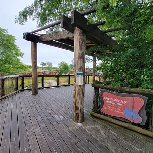 Columbus Zoo - Heart of Africa, Rotational watering hole, spotted hyenas out