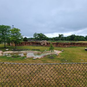 Columbus Zoo - Heart of Africa, Rotational watering hole, spotted hyenas out