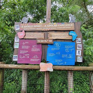 Columbus Zoo - Heart of Africa, raccoons vs vervet monkeys