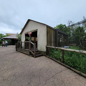 Columbus Zoo - Heart of Africa, Vervet monkeys