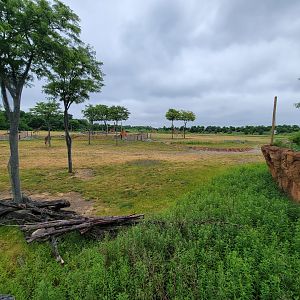 Columbus Zoo - Heart of Africa, Savannah