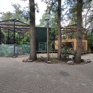 New enclosures for yellow-throated marten