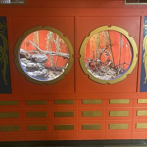 Mangshan Pit Viper Exhibit