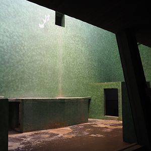 Former Mantled colobus being renovated to become Goodfellow's tree kangaroo exhibit, 2023-07-22