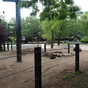 Expanded Asian elephant paddock, 2023-07-22