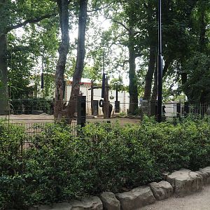 Asian elephant paddock, 2023-07-22