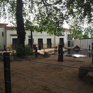 Asian elephant paddock, 2023-07-22