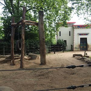 Asian elephant paddock, 2023-07-22