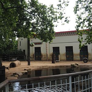 Asian elephant paddock, 2023-07-22