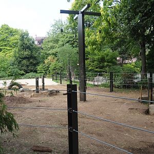 Asian elephant paddock, 2023-07-22