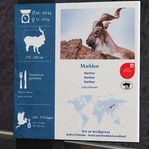 Markhor signage, 2023-07-22