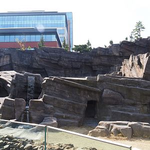 Tajik markhor exhibit (Formerly Mishmi takin exhibit), 2023-07-22