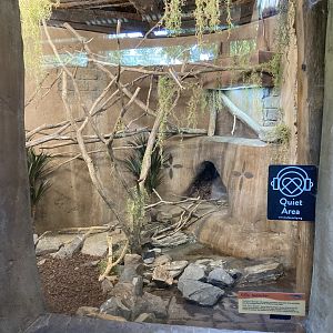 New Gila Monster Exhibit