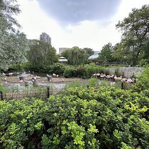 Chilean Flamingo Exhibit + Reptile & Small Mammal House