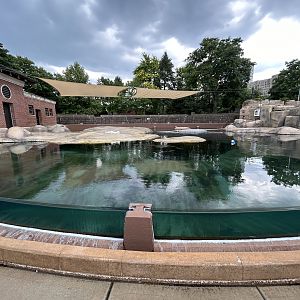 Kovler Seal Pool