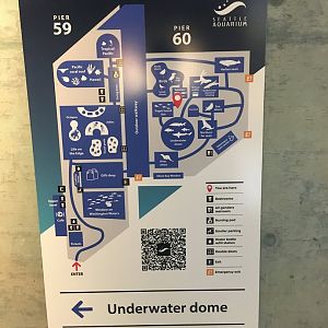 Aquarium Map