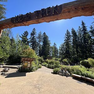 Kids’ Trek Play Area (New in 2016)