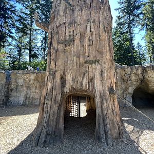 Kids’ Trek Play Area