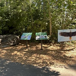 Eagle Passage - New in 2019