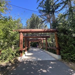 Eagle Passage - New in 2019