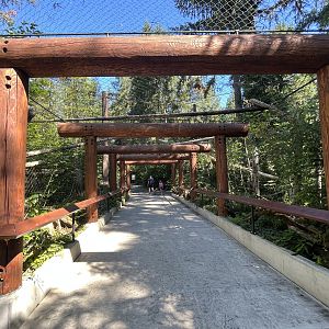 Eagle Passage - New in 2019