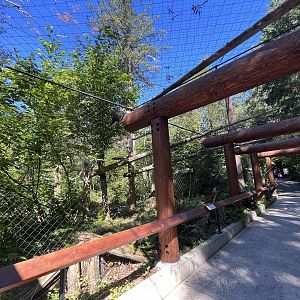 Eagle Passage - New in 2019