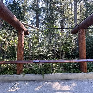 Eagle Passage - New in 2019