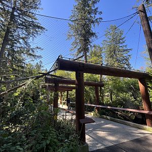 Eagle Passage - New in 2019