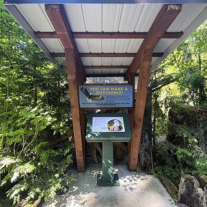 Eagle Passage - New in 2019