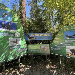 Eagle Passage - New in 2019