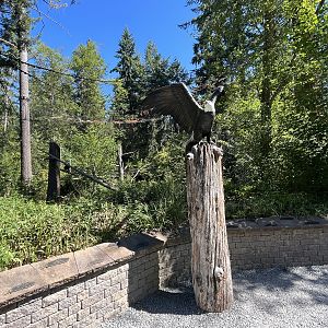 Eagle Passage - New in 2019