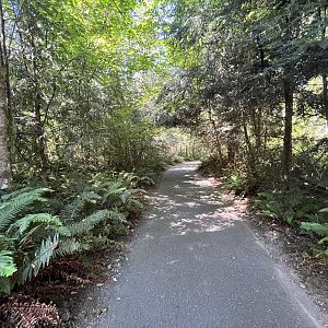 Typical Visitor Path