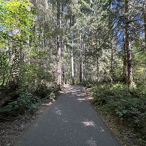 Typical Visitor Path