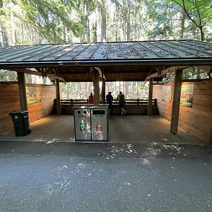 Grizzly Bear Exhibit