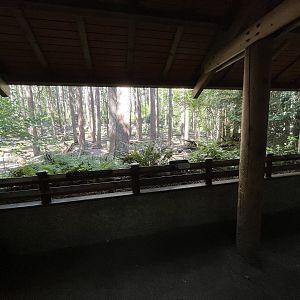 Grizzly Bear Exhibit