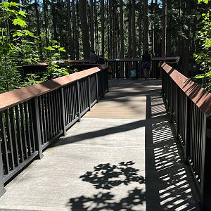 Grizzly Bear Exhibit - viewing deck