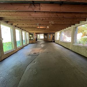 Forest Animals - lower level