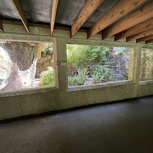 Striped Skunk Exhibit