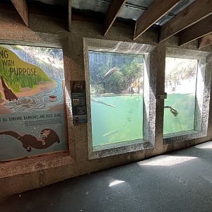 River Otter Exhibit