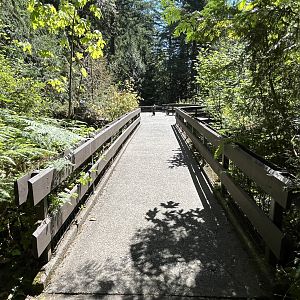 Forest Animals - upper level