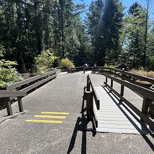 Forest Animals - upper level