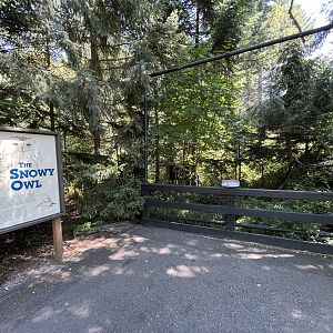 Snowy Owl Aviary