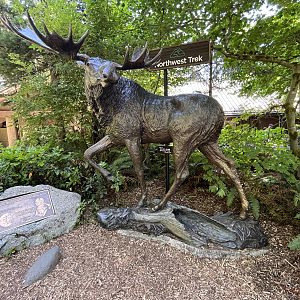 Moose Statue