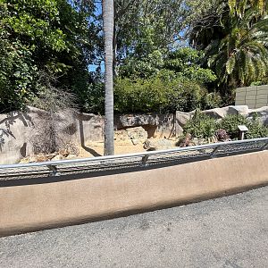 Leopard Tortoise Exhibit