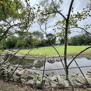 Bison and Whitetail Deer Exhibit