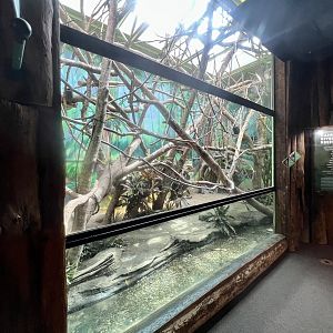 Rain Forest Building