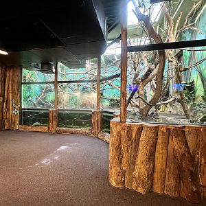 Rain Forest Building