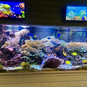 Aquarium