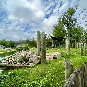 Asian Elephant Exhibit