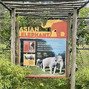 Asian Elephant Sign